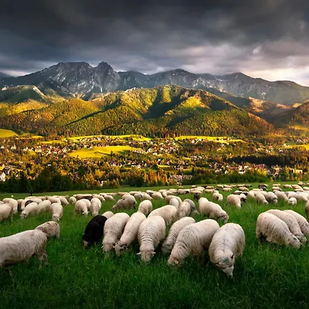 Gorska Osada Luxury Zakopane