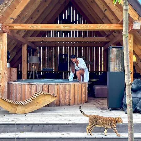 Chalet Gorska Osada Luxury Zakopane *